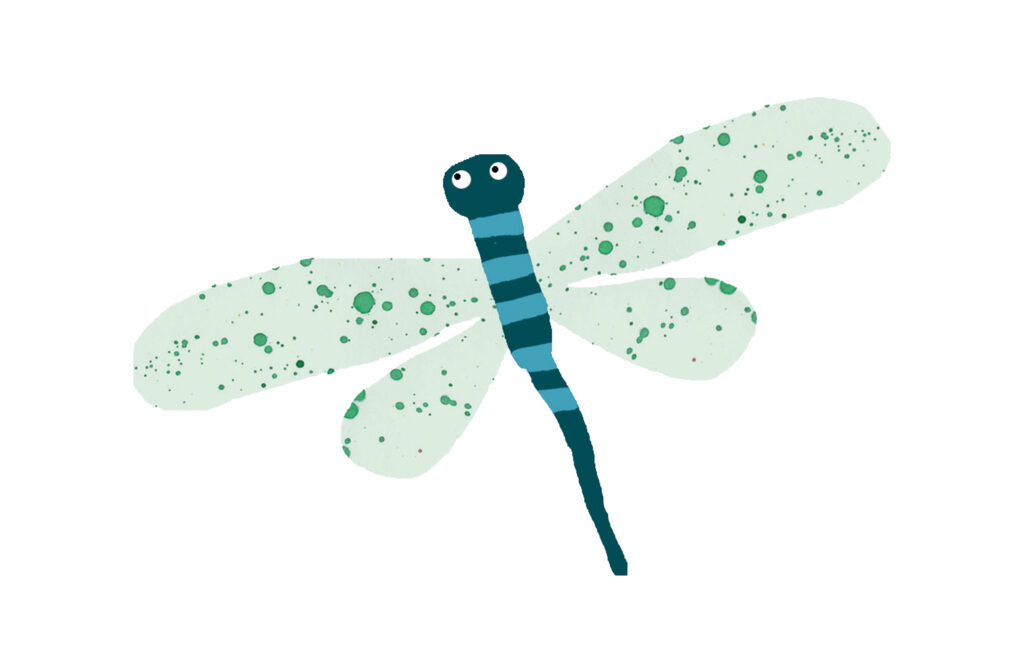 Illustration of a dragonfly
